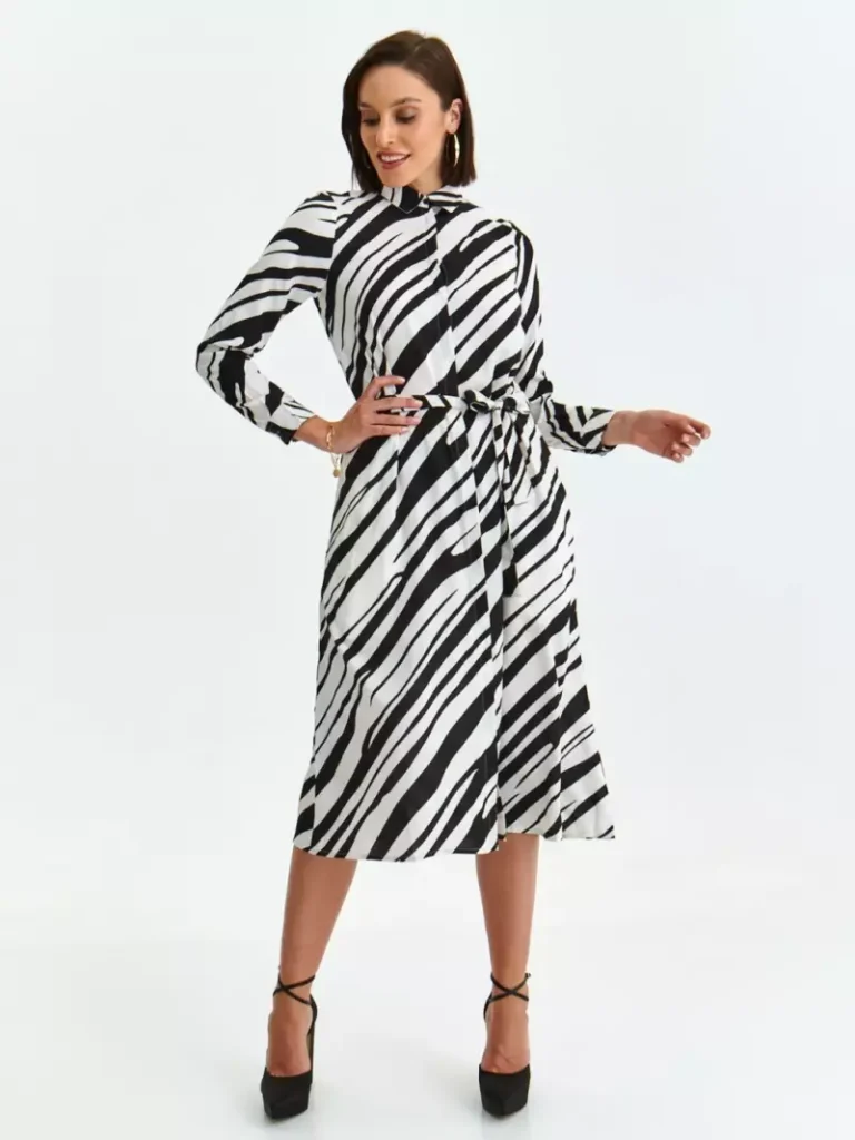 Dress Zebra-Make Your Image